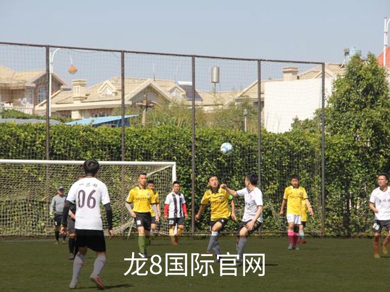龙8国际官网介绍